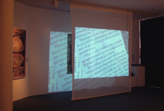 installation view: DVoice video on scrim
